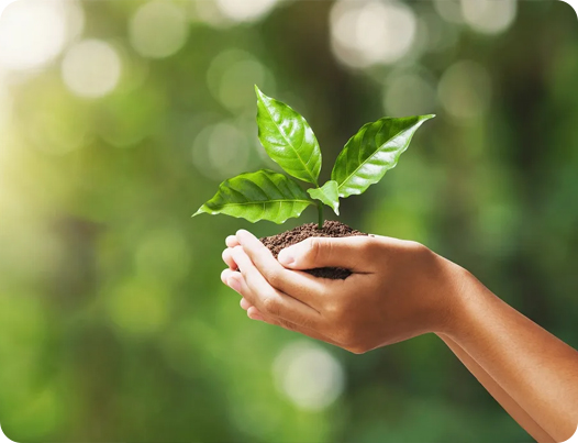 Jiangsu Dingshun Prodotti Medici Co., Ltd.